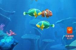 怪怪水族馆攻略：轻松养鱼赚钱，解锁隐藏鱼类，告别资源不足的烦恼