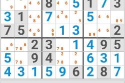 数独(shudu)新手到高手全攻略：轻松掌握规则与技巧，享受解谜乐趣