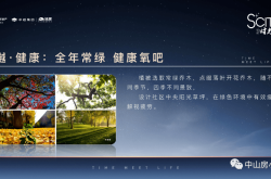 RapeLay游戏争议解析：如何正确认识游戏中的性暴力内容及其社会影响