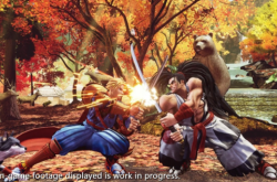 真侍魂2新手到高手完全攻略：从基础操作到进阶连招，轻松掌握格斗技巧