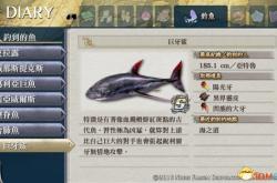 伊苏起源攻略：从新手入门到全成就达成的完整指南，轻松通关不再卡关