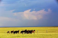 哥萨克3：轻松掌握东欧草原游牧文明，体验自由骑兵的快乐征战