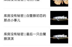 游戏行业报告，解锁数字娱乐的秘密钥匙