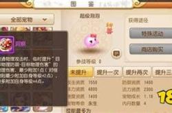 梦幻西游手游泡泡专属技能