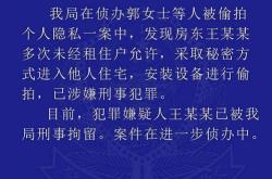 老王退位，新王登基蜂群中的权力交接艺术