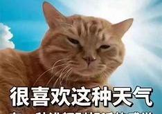 哈基米大型团建摇出猫王，赢取万元现金大奖！

演讲