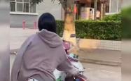 外卖小哥的惊人发现，皮包骨婴儿的隐秘细节