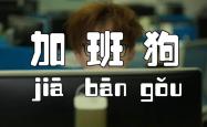 专家称不给加班费不加班趋势不可逆，职场文化的转变与挑战