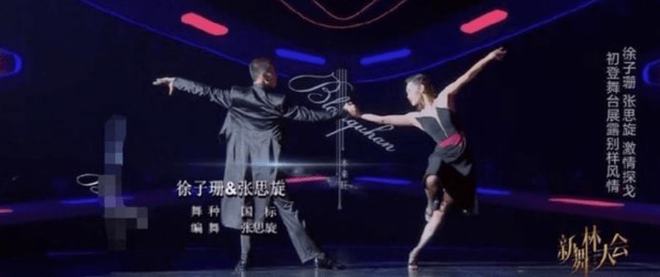 王宗源102.6分完美动作震惊全场——跳水梦之舞台的璀璨瞬间