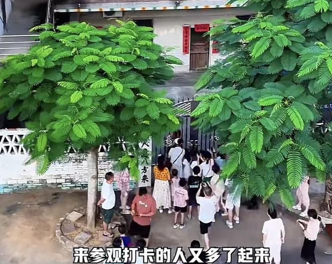 全红婵全家搬去偏僻果园居住，背后的故事与挑战