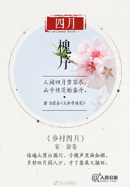 梨花香醉江南，词曲背后的故事与诗意解读