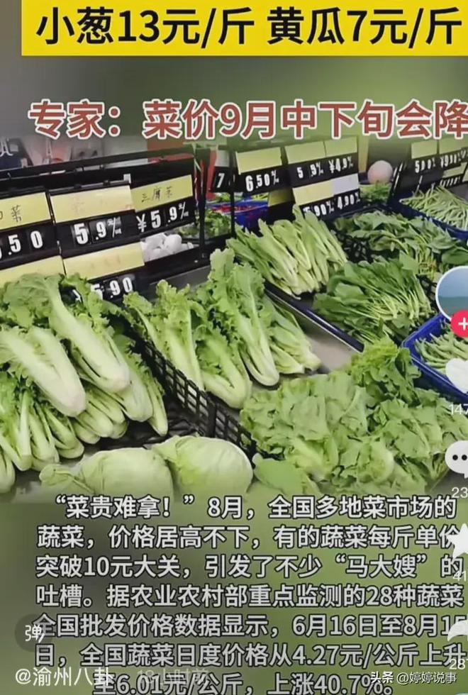 蔬菜涨到过年价，非小事背后的经济与社会影响分析