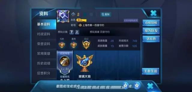 揭秘王者荣耀中的大家来找茬外挂，真相与玩家的无奈之战