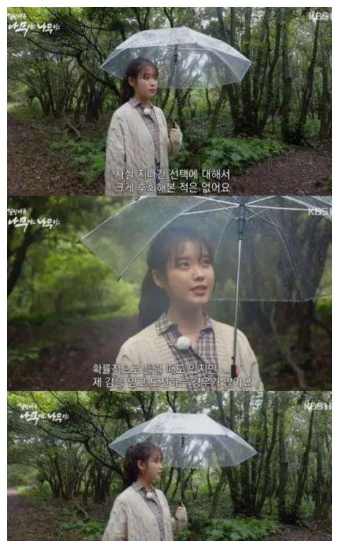 不后悔的抉择，一首深情的自我觉醒之歌