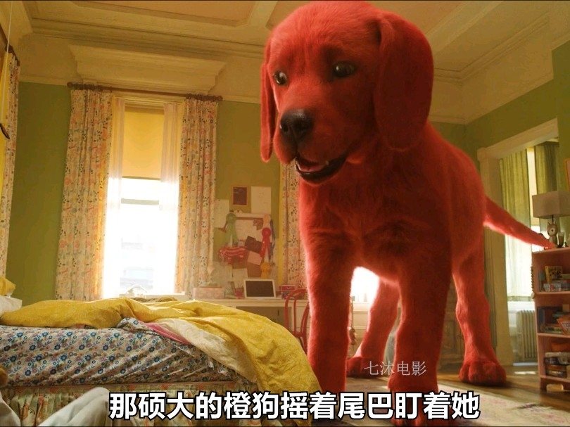 狗子太空步的奇妙经历
