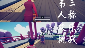 美妙之第二人生,虚拟与现实的交织 美妙之第二人生,虚拟与现实的交织
