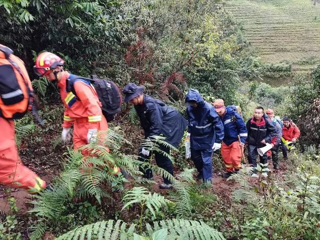 哀牢山景区安全警示，守护游客安全，共建和谐旅游环境