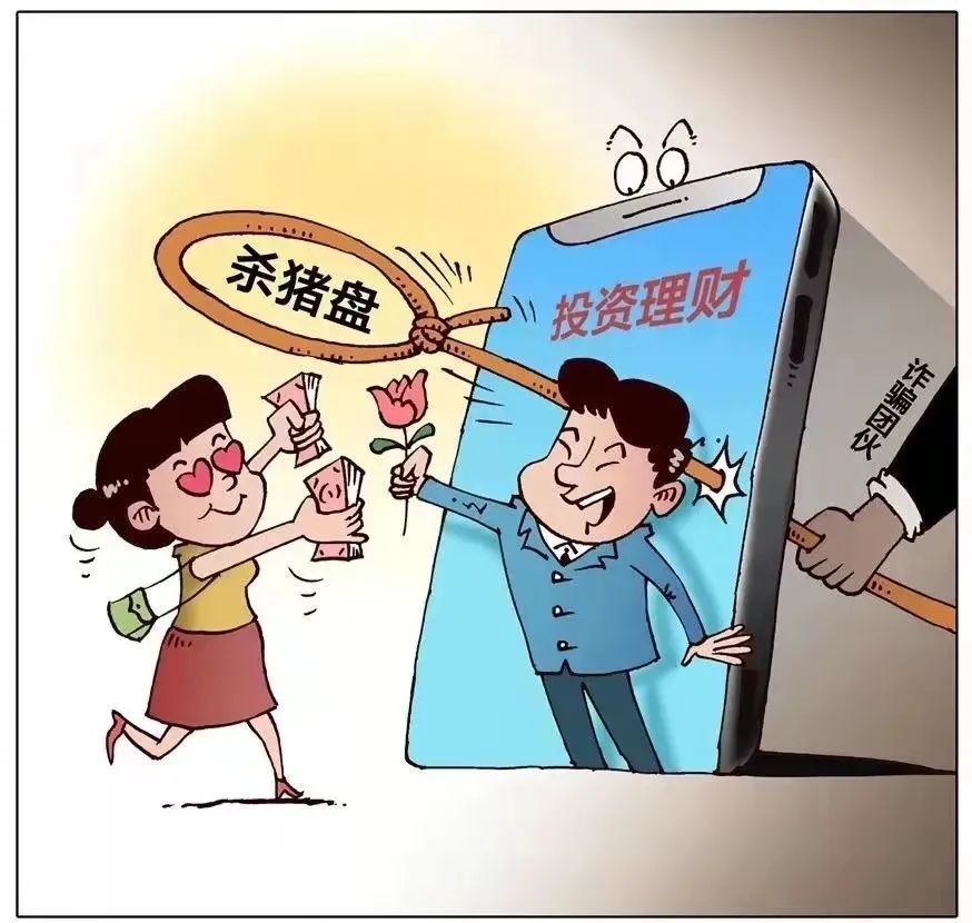 女子冒充记者专骗村支书，警示与反思