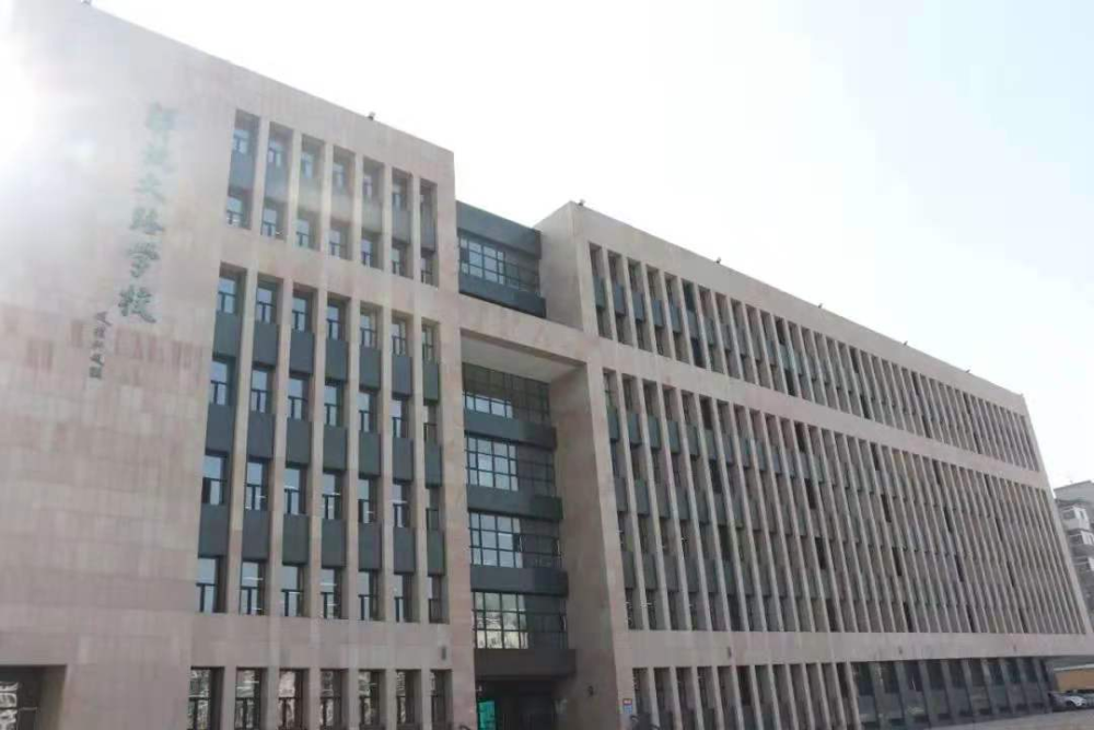 辛瓦尔小遗孀罕见曝光，探索背后的故事