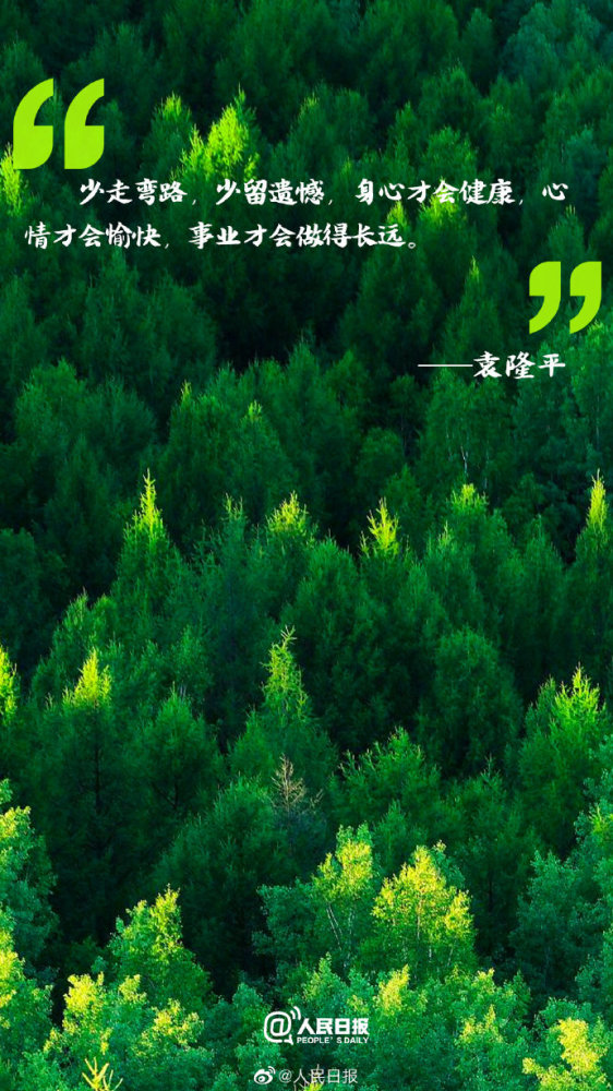 9877网站，电子竞技的璀璨星辰