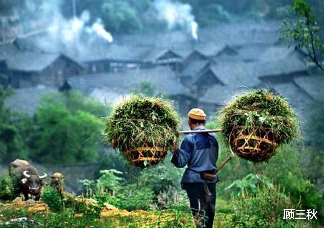 农民工遭树枝横向贯穿胸腔后强行拔出的悲剧与反思