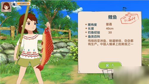 小森生活深度解析与兑换码使用指南