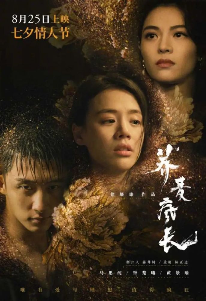 揭秘，八戒八戒电影资源网——你的私人电影院