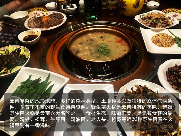 美女餐厅之家乡小店,一份美食背后的人情味与记忆 美女餐厅之家乡小店,一份美食背后的人情味与记忆