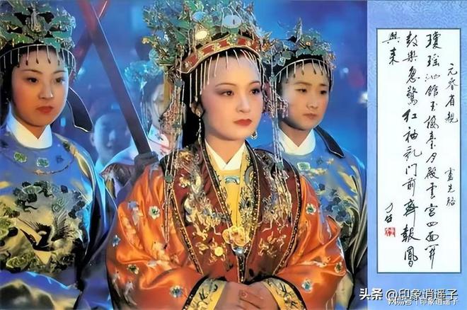 红楼梦中的十二金钗，女性魅力与命运交织的瑰丽画卷
