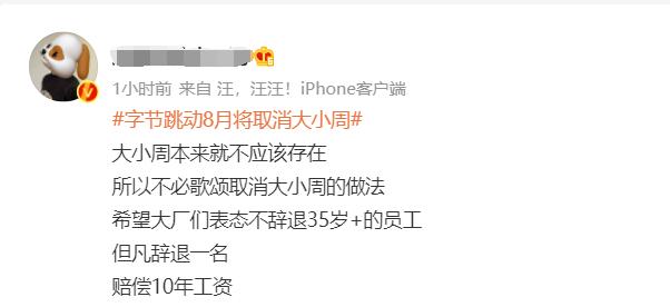 字节跳动取消大小周，工作模式变革的启示与思考