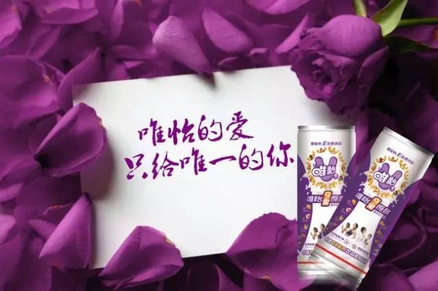 爱的倾诉，99朵玫瑰花背后的深情与寓意