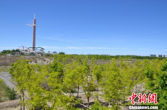 河北少儿科教频道，播种知识的绿洲，点亮未来的灯塔