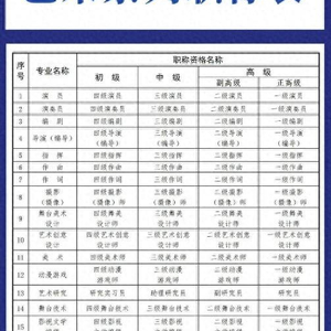 国家一级演员，官方眼中的不规范表述