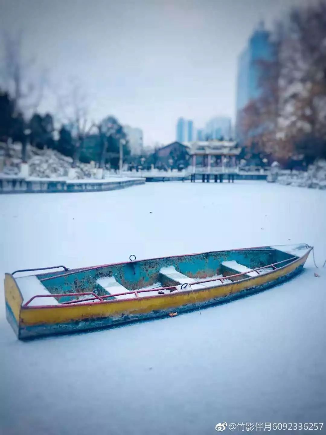 石家庄大雪，冬日里的美丽与挑战