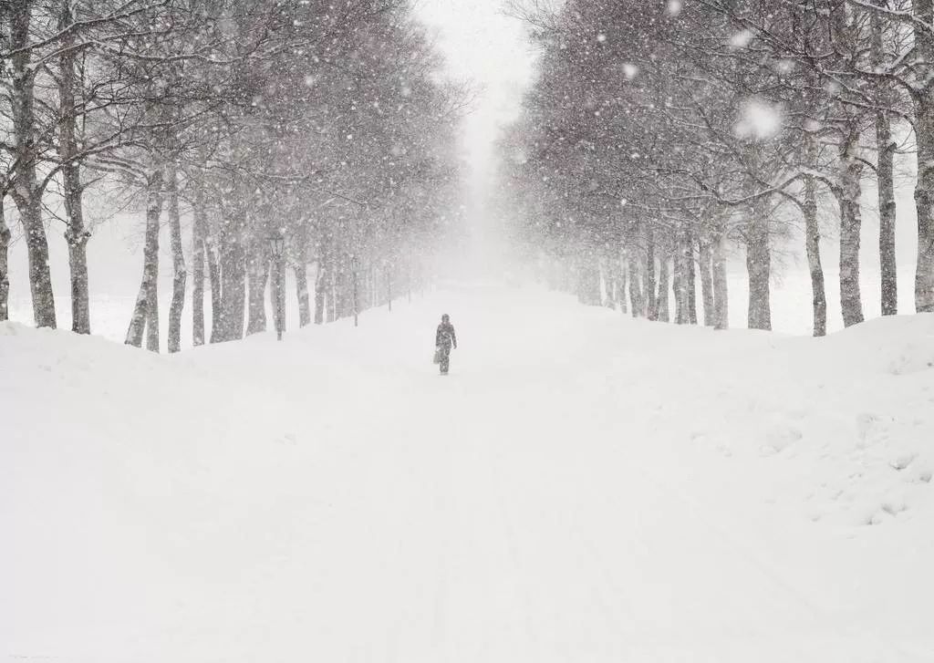 石家庄大雪，冬日里的美丽与挑战