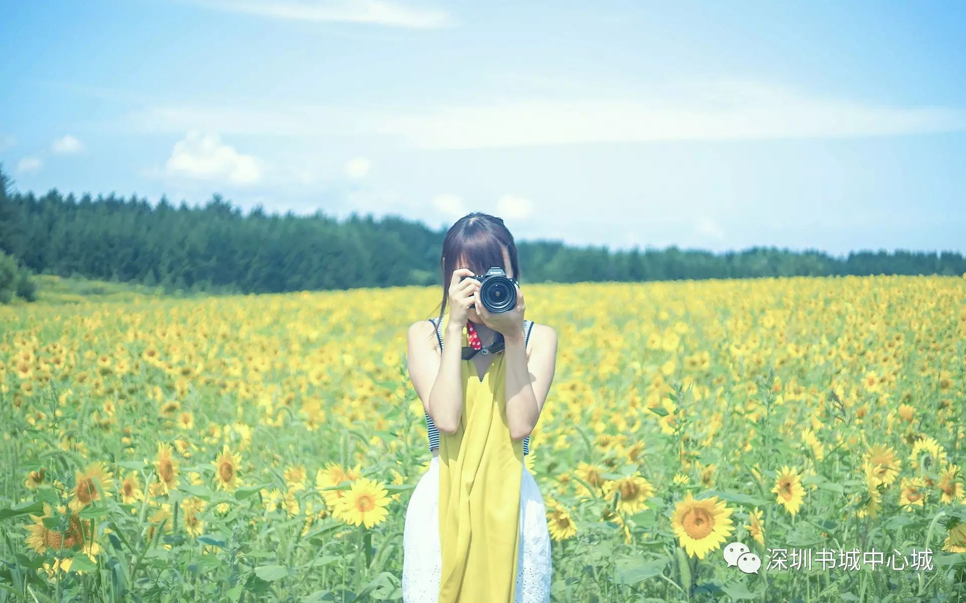 百度丘比特，情感AI的浪漫之旅