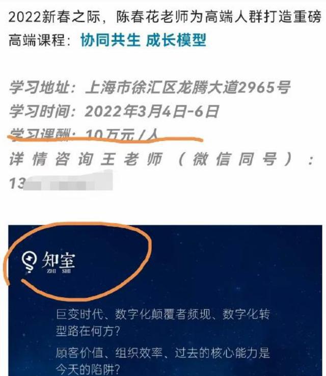 揭开学历真伪的神秘面纱，学历查询官方网站的神奇力量
