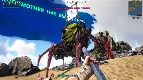 逃出恐龙岛，一场惊心动魄的生存冒险