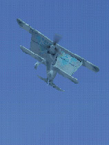 抢滩登陆2005，经典射击游戏的魅力与策略