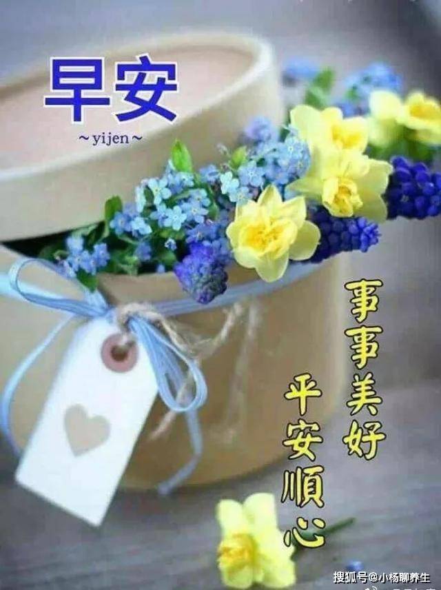 小团团照片，记录生活，传递情感的温馨纽带