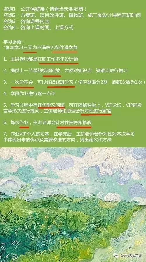 含羞草，新纪元深度解析与实战攻略