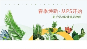 含羞草，新纪元深度解析与实战攻略