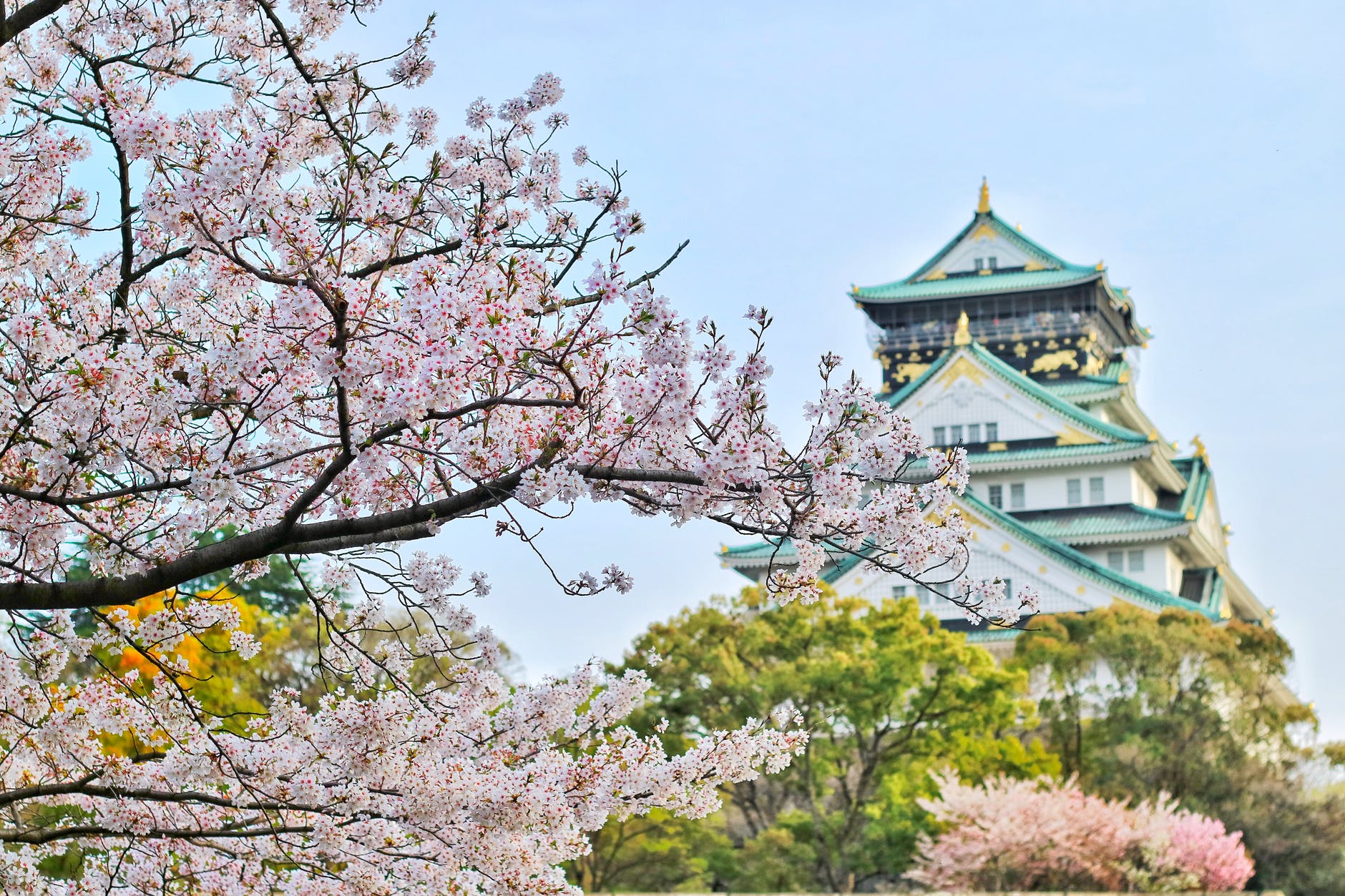 桐生さ日本文化中的樱花象征与现代流行文化的融合 桐生さ日本文化中的樱花象征与现代流行文化的融合