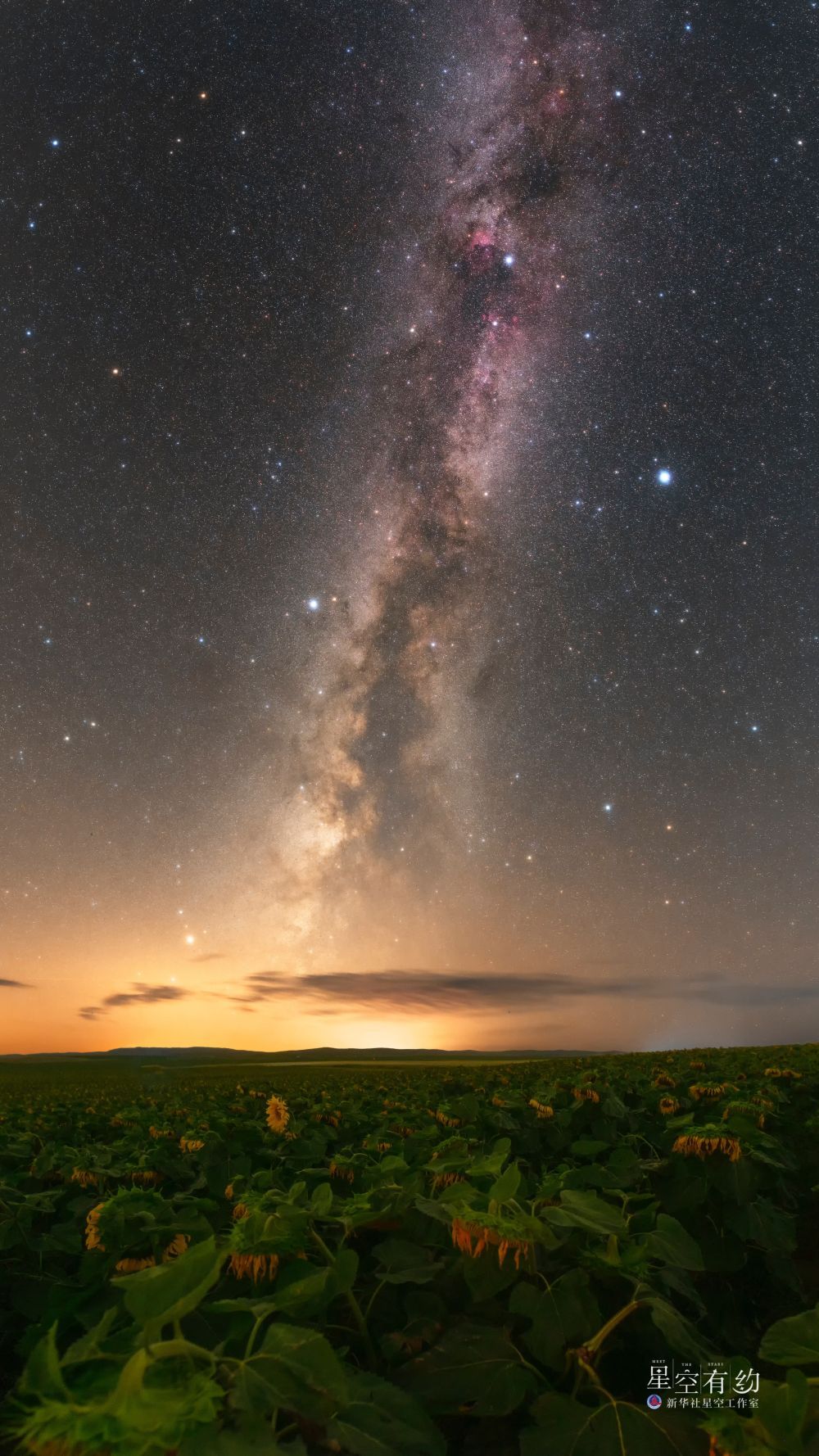 探索夜空的璀璨，织女星与它的星座家族