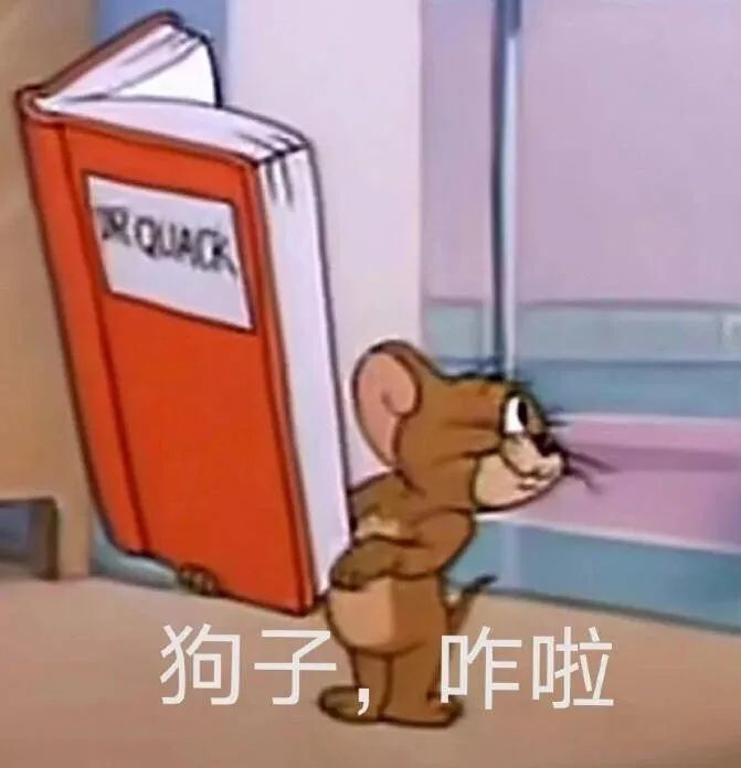 金馆长熊猫表情，网络文化中的幽默与创意