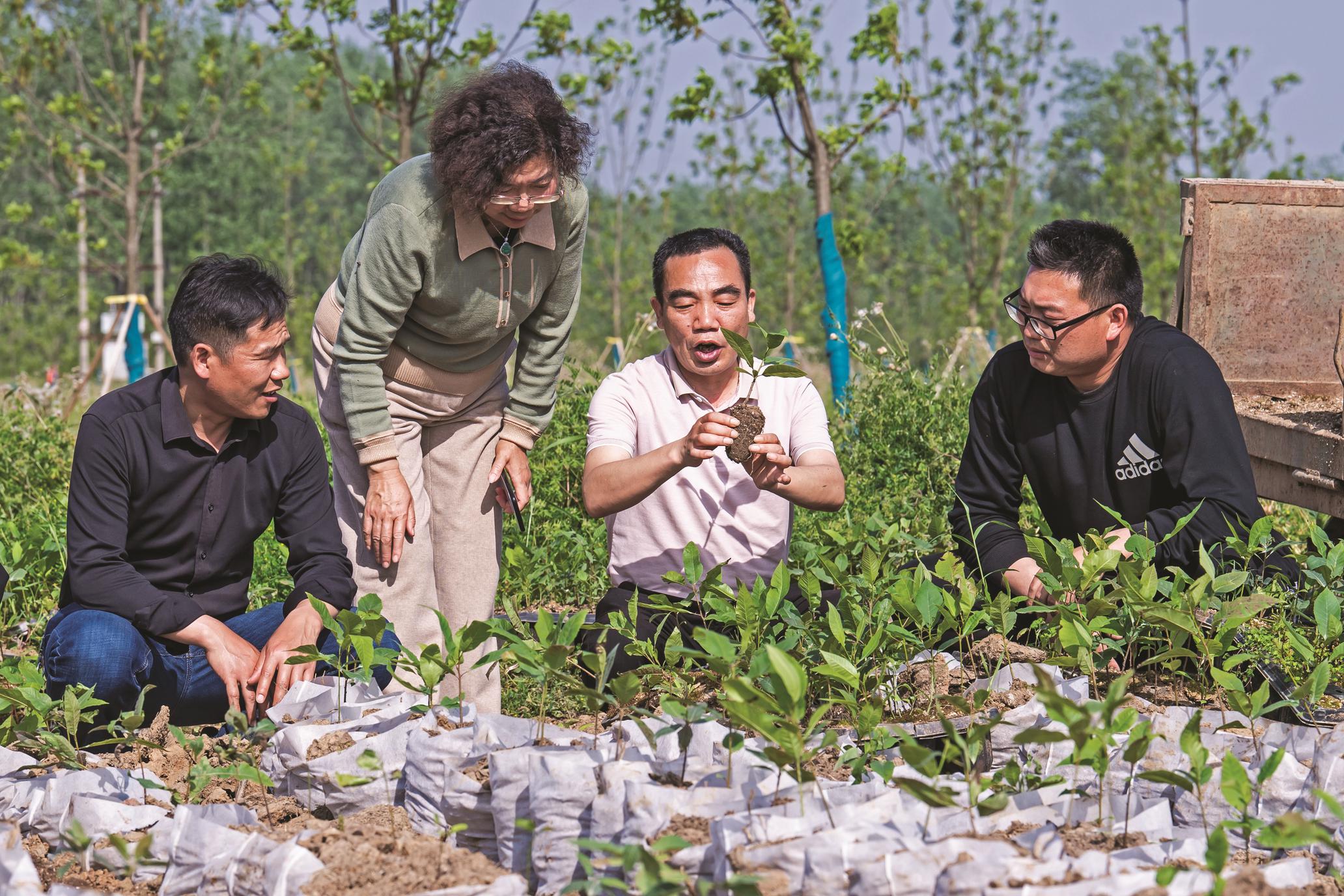 僵尸危机5，生存指南与策略解析