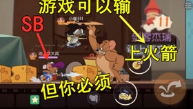 猫鼠游戏，小偷与警察的街头对决