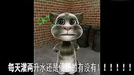 会说话的Tom猫，不仅仅是一个游戏，更是互动娱乐的新纪元