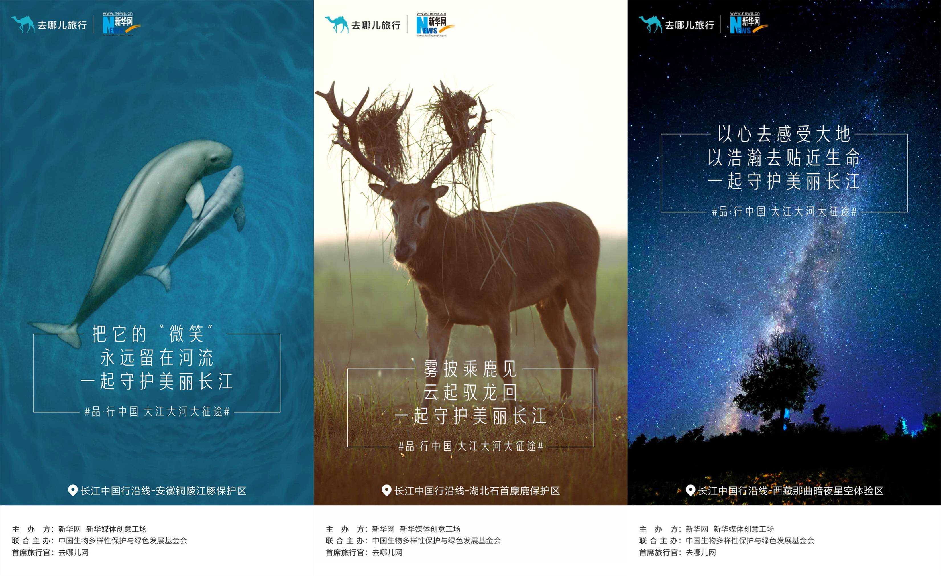 探索声音的魅力，中国听书网的奇妙之旅