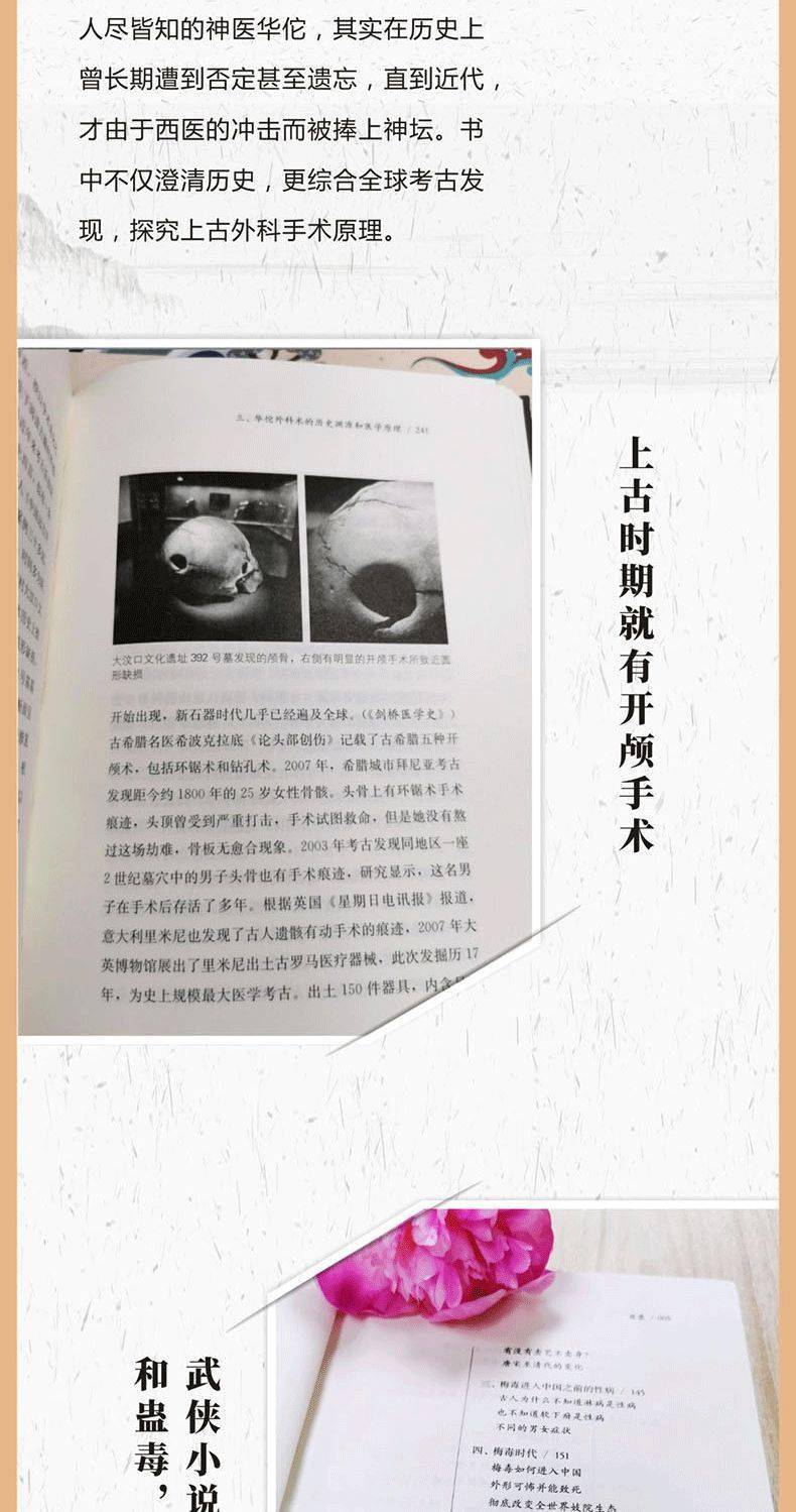 福瑞控，探索亚文化中的毛茸茸魅力